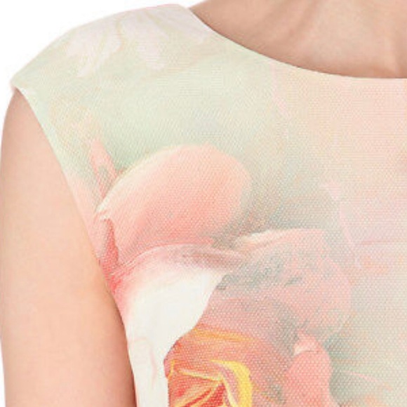 TED BAKER Damona Rose On Canvas Dress TED 3 US 6-8 - Picture 4 of 6